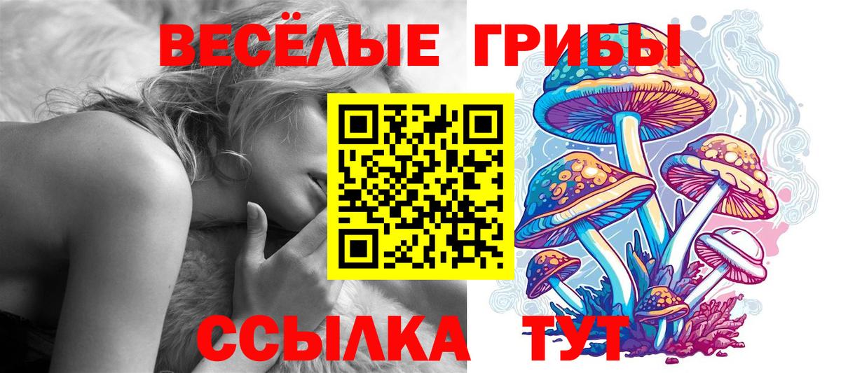 Азов  Псилоцибиновые грибы Magic Shrooms  закладка  Вход с VPN 